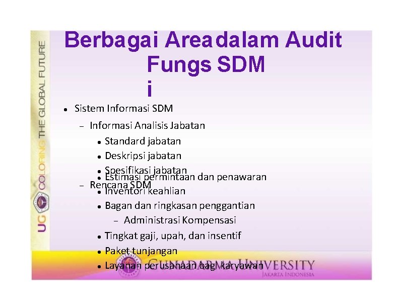 Berbagai Area dalam Audit Fungs SDM i Sistem Informasi SDM Informasi Analisis Jabatan Standard