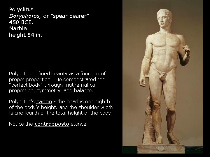 Polyclitus Doryphoros, or “spear bearer” 450 BCE. Marble height 84 in. Polyclitus defined beauty