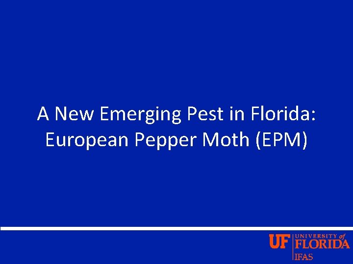 A New Emerging Pest in Florida: European Pepper Moth (EPM) 