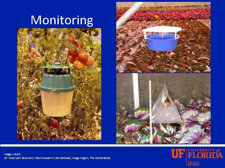 Monitoring Image credit: Dr. Peter van Deventer, Plant Research International, Wageningen, The Netherlands 