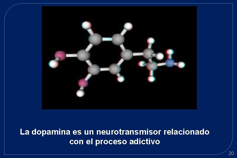La dopamina es un neurotransmisor relacionado con el proceso adictivo 20 La dopamina es un neurotransmisor relacionado con el proceso adictivo 20
