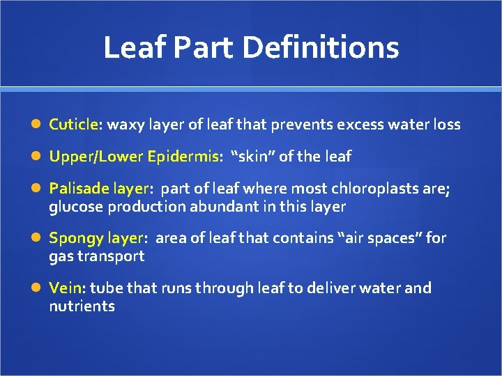 Leaf Part Definitions Cuticle: waxy layer of leaf that prevents excess water loss Upper/Lower