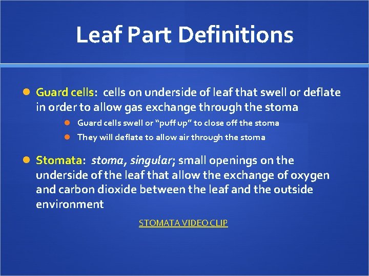 Leaf Part Definitions Guard cells: cells on underside of leaf that swell or deflate