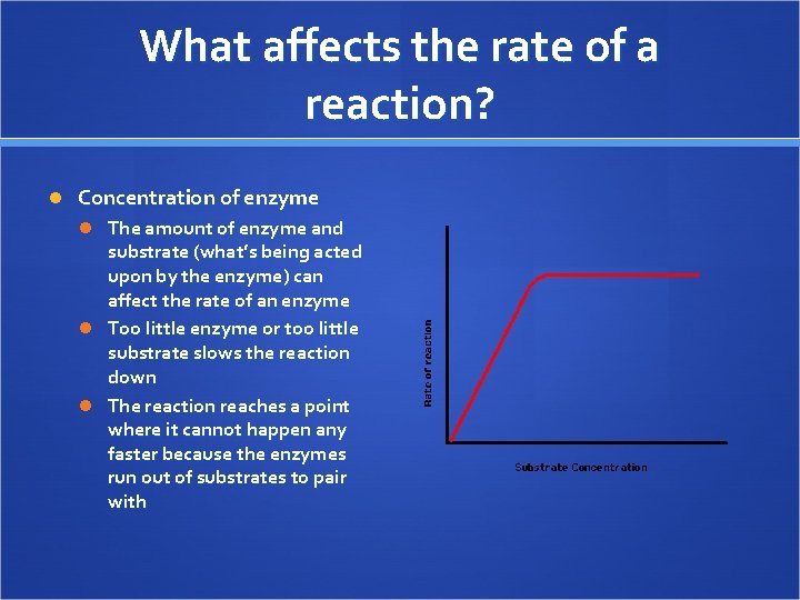 What affects the rate of a reaction? Concentration of enzyme The amount of enzyme