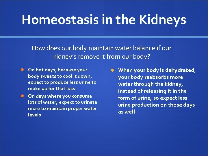 Homeostasis in the Kidneys How does our body maintain water balance if our kidney’s