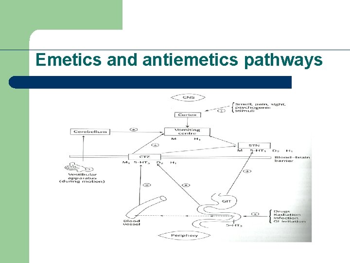 Emetics and antiemetics pathways 