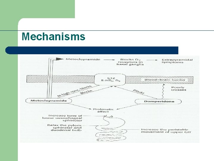 Mechanisms 