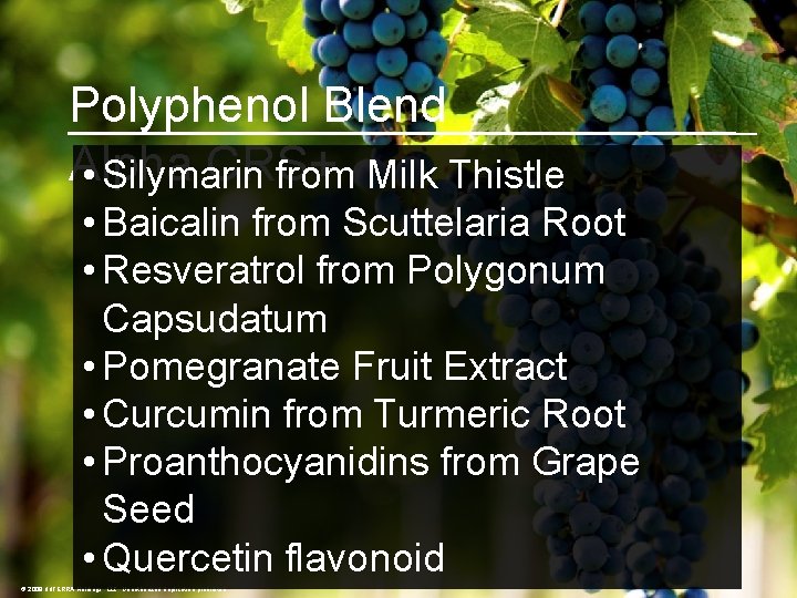 Polyphenol Blend Alpha CRS+ • Silymarin from Milk Thistle • Baicalin from Scuttelaria Root