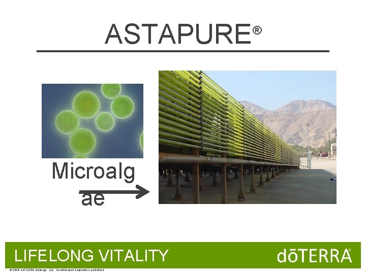 ASTAPURE Microalg ae LIFELONG VITALITY © 2010 dōTERRA Holdings, LLC, Unauthorized duplication prohibited ®
