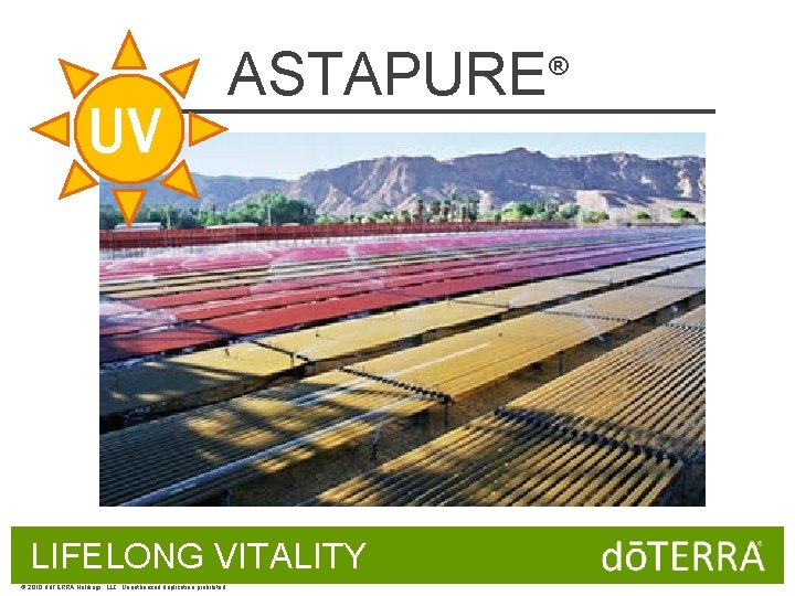 UV ASTAPURE LIFELONG VITALITY © 2010 dōTERRA Holdings, LLC, Unauthorized duplication prohibited ® 