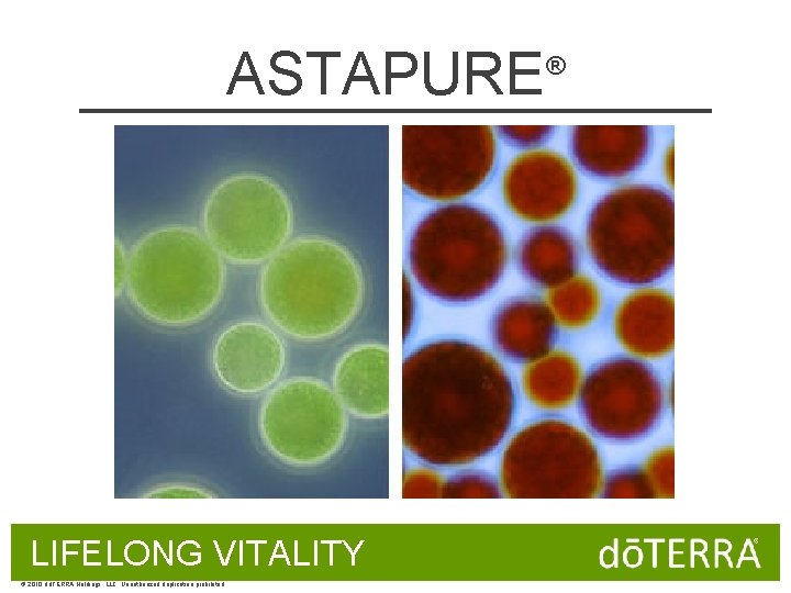 ASTAPURE LIFELONG VITALITY © 2010 dōTERRA Holdings, LLC, Unauthorized duplication prohibited ® 