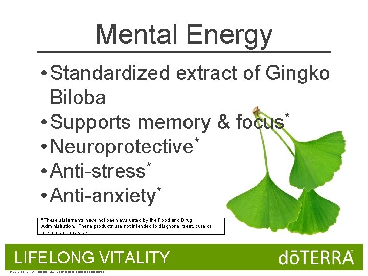 Mental Energy NEW! • Standardized extract of Gingko Biloba • Supports memory & focus*