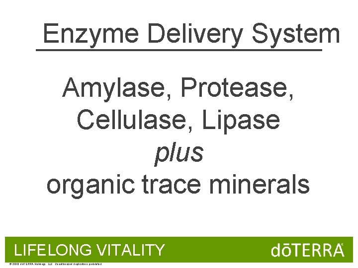 Enzyme Delivery System Amylase, Protease, Cellulase, Lipase plus organic trace minerals LIFELONG VITALITY ©