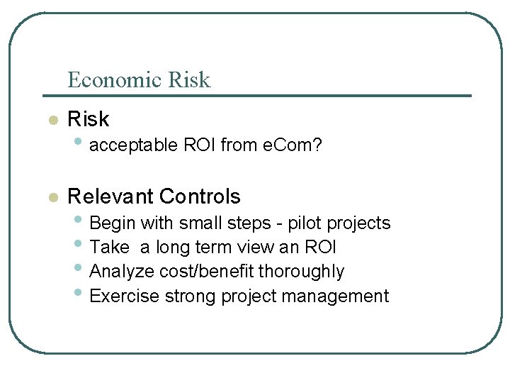 Economic Risk l Relevant Controls • acceptable ROI from e. Com? • Begin with
