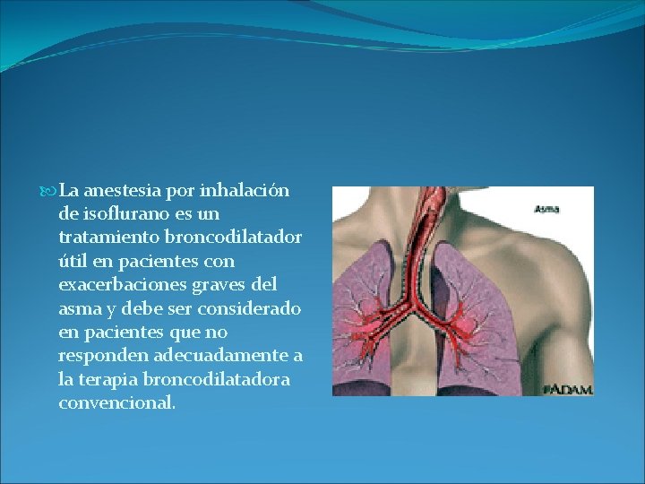 La anestesia por inhalación de isoflurano es un tratamiento broncodilatador útil en pacientes La anestesia por inhalación de isoflurano es un tratamiento broncodilatador útil en pacientes