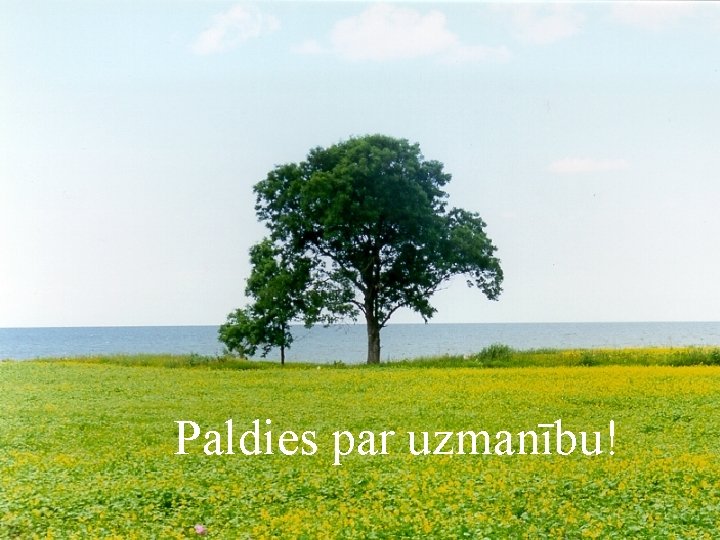 Paldies par uzmanību! 