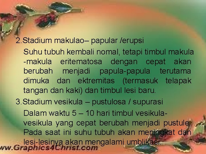 2. Stadium makulao– papular /erupsi Suhu tubuh kembali nomal, tetapi timbul makula -makula eritematosa