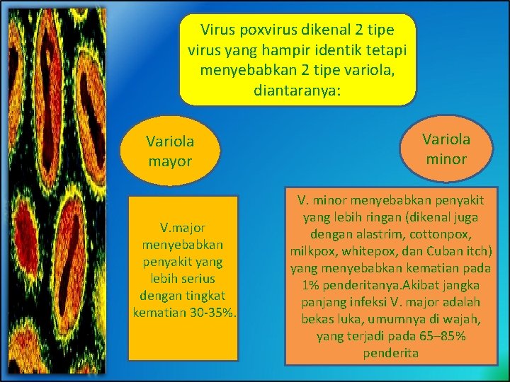 Virus poxvirus dikenal 2 tipe virus yang hampir identik tetapi menyebabkan 2 tipe variola,