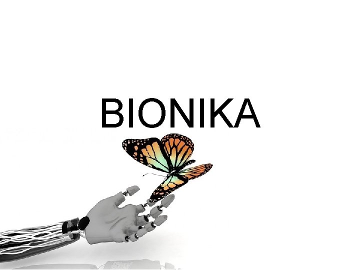 BIONIKA 