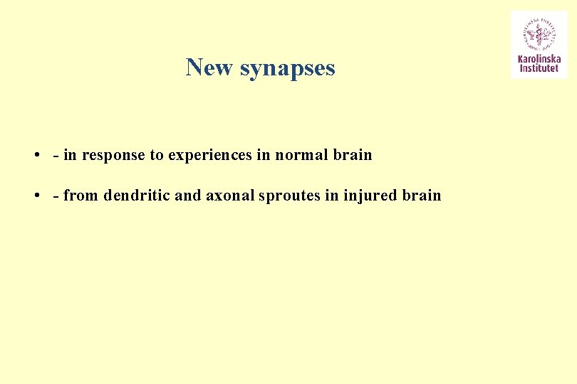 New synapses • - in response to experiences in normal brain • - from