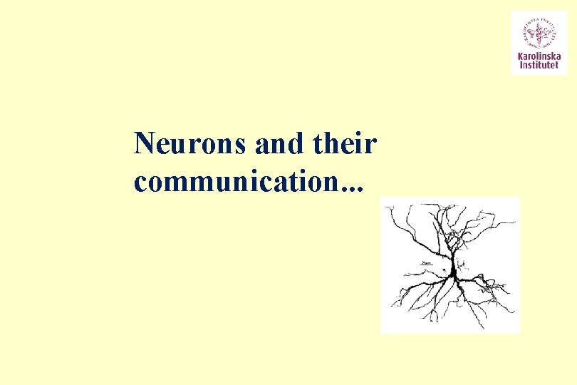 Neurons and their communication. . . 