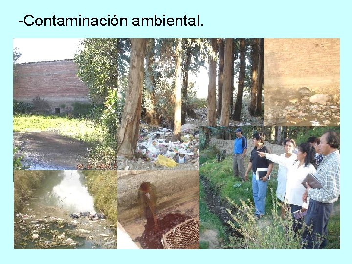 -Contaminación ambiental. 