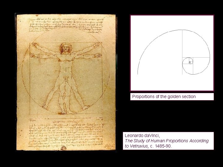 Proportions of the golden section Leonardo da. Vinci, The Study of Human Proportions According