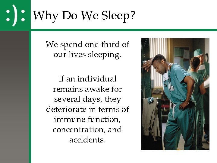 Why Do We Sleep? We spend one-third of our lives sleeping. Jose Luis Pelaez, Why Do We Sleep? We spend one-third of our lives sleeping. Jose Luis Pelaez,