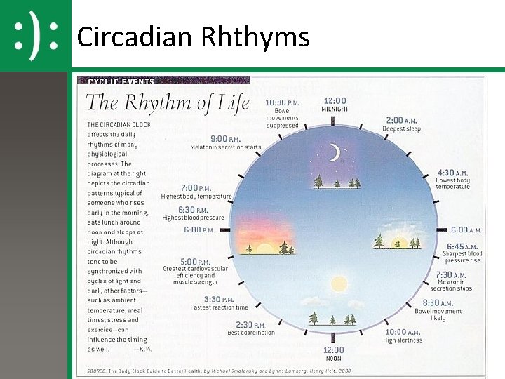 Circadian Rhthyms Circadian Rhthyms
