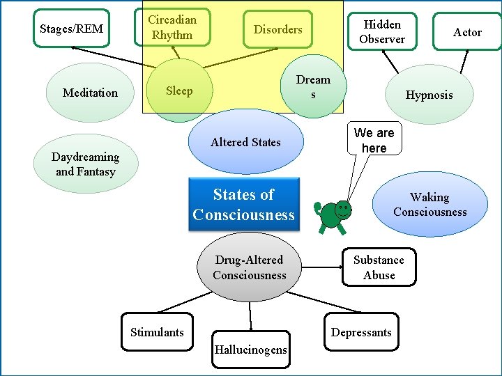 Stages/REM Meditation Circadian Rhythm Disorders Hidden Observer Dream s Sleep Altered States Daydreaming and Stages/REM Meditation Circadian Rhythm Disorders Hidden Observer Dream s Sleep Altered States Daydreaming and