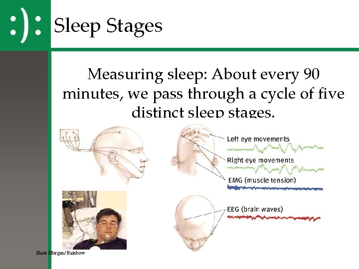 Sleep Stages Measuring sleep: About every 90 minutes, we pass through a cycle of Sleep Stages Measuring sleep: About every 90 minutes, we pass through a cycle of