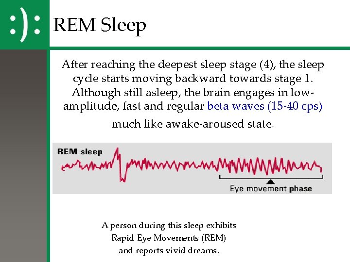 REM Sleep After reaching the deepest sleep stage (4), the sleep cycle starts moving REM Sleep After reaching the deepest sleep stage (4), the sleep cycle starts moving