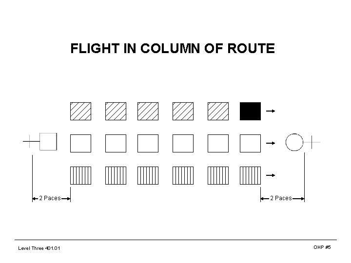 FLIGHT IN COLUMN OF ROUTE 2 Paces Level Three 401. 01 2 Paces OHP