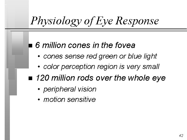 Physiology of Eye Response n 6 million cones in the fovea • cones sense