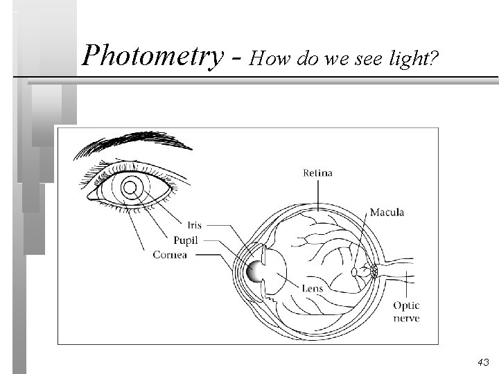 Photometry - How do we see light? 43 