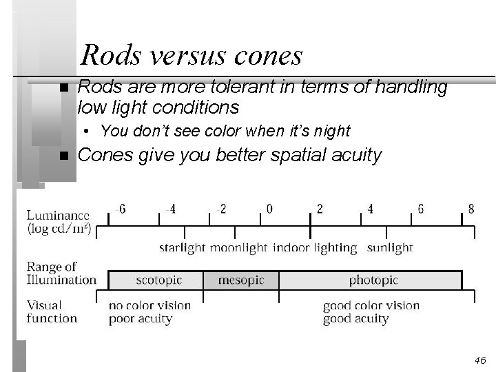 Rods versus cones n Rods are more tolerant in terms of handling low light