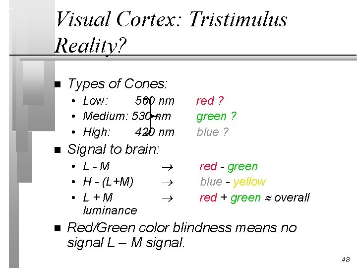 Visual Cortex: Tristimulus Reality? n Types of Cones: • Low: 560 nm • Medium: