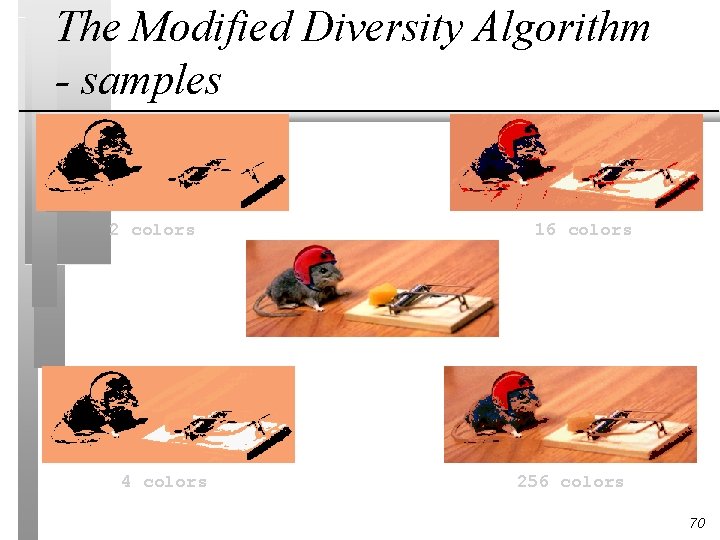 The Modified Diversity Algorithm - samples 2 colors 4 colors 16 colors 256 colors