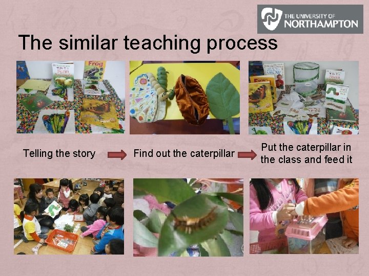 The similar teaching process Telling the story Find out the caterpillar Put the caterpillar