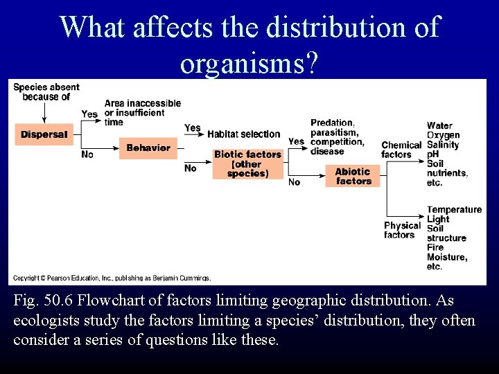 What affects the distribution of organisms? Fig. 50. 6 Flowchart of factors limiting geographic