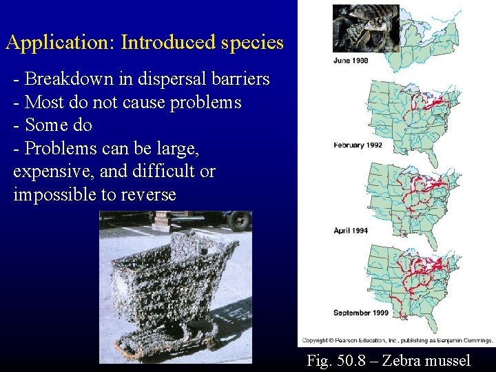 Application: Introduced species - Breakdown in dispersal barriers - Most do not cause problems