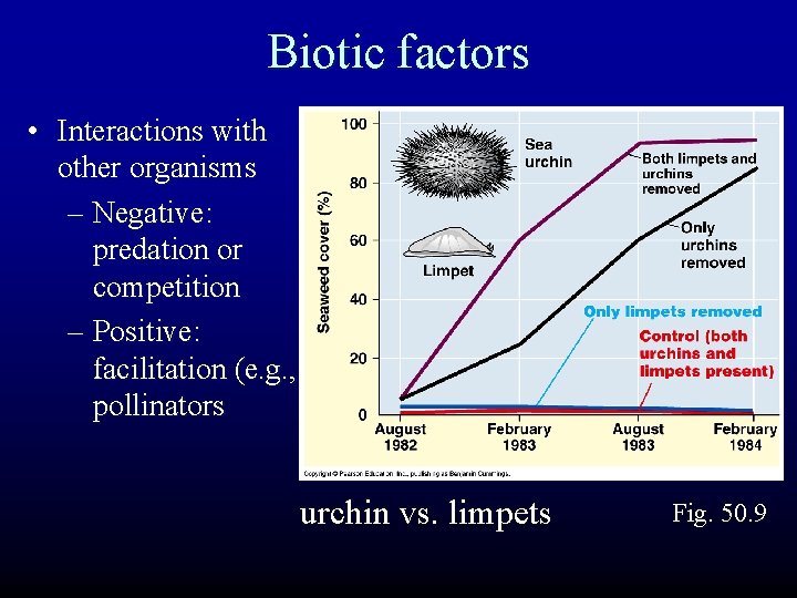 Biotic factors • Interactions with other organisms – Negative: predation or competition – Positive: