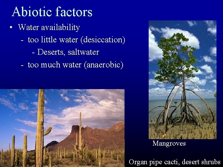 Abiotic factors • Water availability - too little water (desiccation) - Deserts, saltwater -