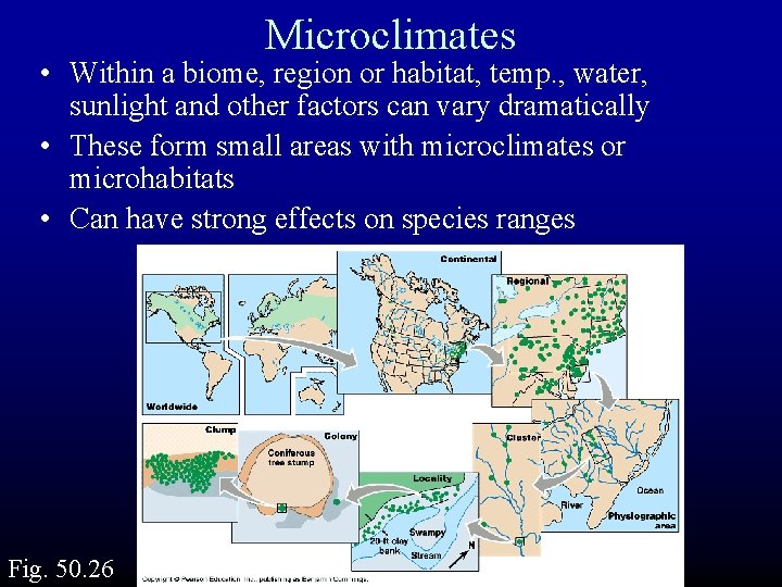 Microclimates • Within a biome, region or habitat, temp. , water, sunlight and other