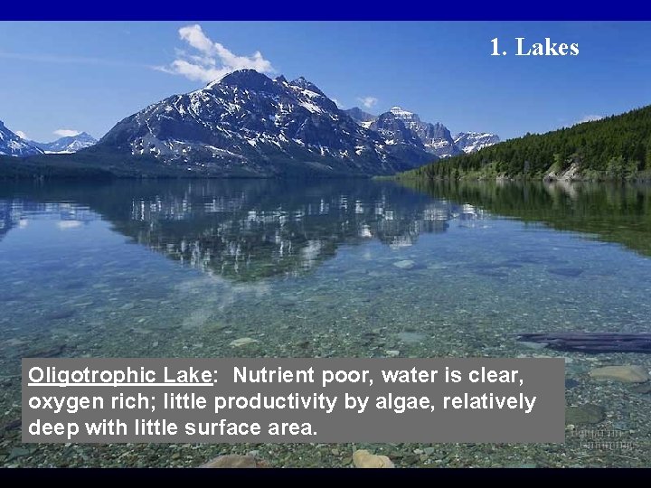 1. Lakes Oligotrophic Lake: Nutrient poor, water is clear, oxygen rich; little productivity by