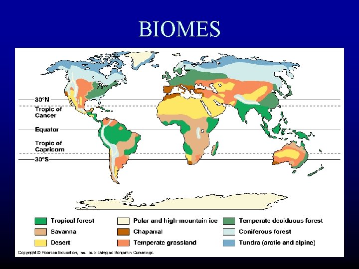 BIOMES 