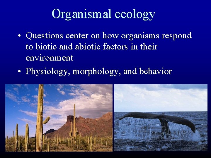 Organismal ecology • Questions center on how organisms respond to biotic and abiotic factors