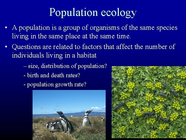 Population ecology • A population is a group of organisms of the same species