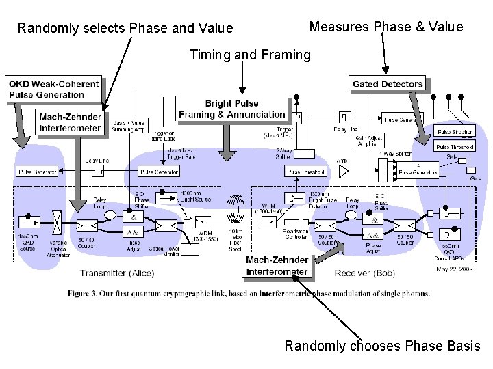 Randomly selects Phase and Value Measures Phase & Value Timing and Framing Randomly chooses
