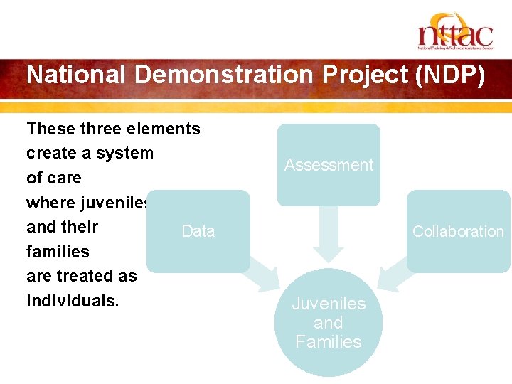 National Demonstration Project (NDP) These three elements create a system of care where juveniles